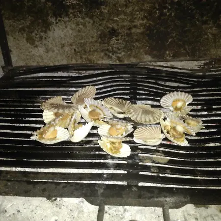 Nives * Mali Lošinj